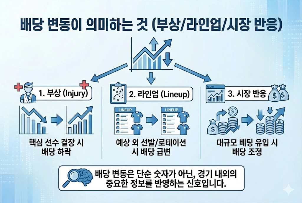 스포츠토토 배당률 변동(하락/상승)의 3대 핵심 신호: 선수 부상(결장), 선발 라인업 변화, 시장 베팅 머니 반응을 분석한 인포그래픽 이미지