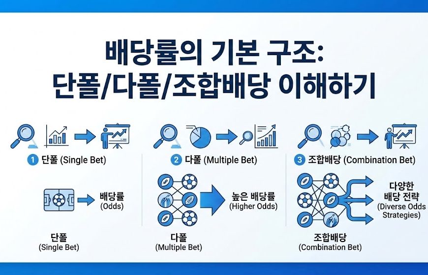 스포츠토토 배당률 계산 및 구조: 단폴더 vs 다폴더 vs 조합베팅 비교 인포그래픽